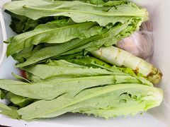 -君莲新城中城苑