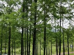 -牛岗山公园