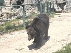 -鄂尔多斯野生动物园