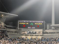 -泰达足球场