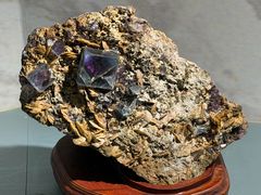 -甘肃地质博物馆