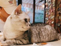 -隅cafe(傅厚岗店)