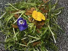 -复兴光头海鲜坊(陆家浜路店)