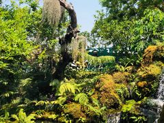 -Chom Cafe and Restaurant