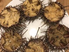 -海胆小馆(东北水饺·春柳店)