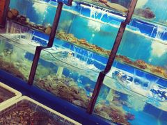 水产区-老东镇啤酒屋海鲜加工·蒸汽海鲜·海鲜烧烤(台东店)