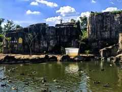 -海南热带野生动植物园