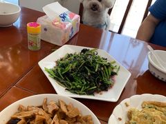 -品雅轩农家乐