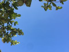 -白沙滩