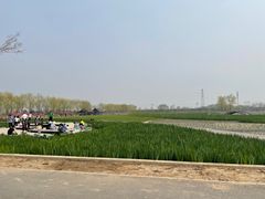 -永定河休闲森林公园