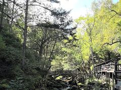 -茅兰沟国家森林公园