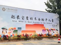 -中国宋庆龄青少年科技文化交流中心
