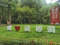 -灵栖洞天