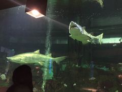 -湘聚南县土菜馆(龙山二路店)