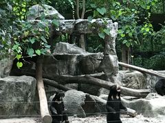 -清迈夜间动物园