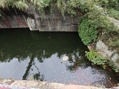 -千岛湖东南湖区