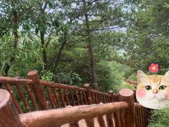 -塔云山