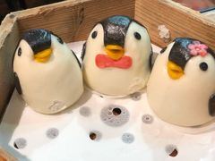 -帝企鹅自助餐厅•儿童岛•真企鹅(长隆企鹅酒店)