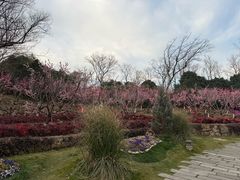 -茅山东方盐湖城景区