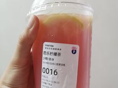 -PINTEA LAB(北京路店)