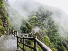 -少华山国家森林公园
