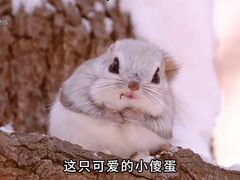-甜嘟嘟烘焙坊(舒城路店)