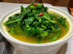 金汤豌豆尖-惠丰堂饭庄·烤鸭·京味菜(翠微路店)
