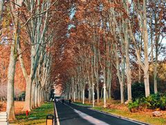 -河南省黄河迎宾馆