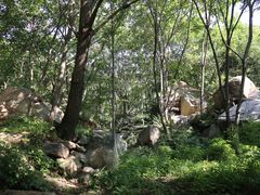 景点-大岭沟猕猴桃谷风景区