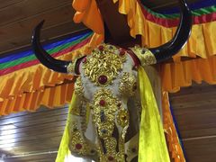 -银同牦牛肉火锅