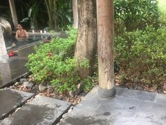 -和顺柏联温泉