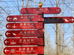 -合肥滨湖国家森林公园