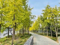 -石家庄市植物园