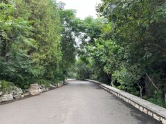 -千佛山风景名胜区