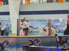 -正佳冰河湾真冰滑冰场