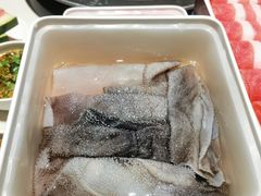 鲜毛肚-川西坝子火锅(金沙1.0直营店)