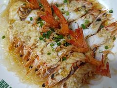 -新白鹿餐厅(百联中环店)