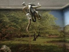 android_upload_pic-石家庄市动物园