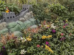 -南宫五洲植物乐园