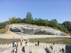 -三水森林公园