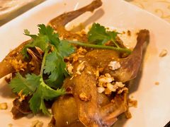 沙姜小白凤-百利鸽王(紫薇路店)