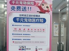 -万博宠物医院·手术·诊疗(未央凤城五路店)