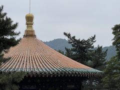 -潭柘寺景区