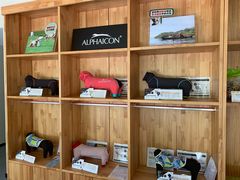 -爱妮康宠物医院·干细胞免疫细胞·肿瘤·心脏(张江店)