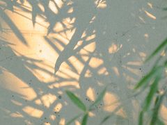 -杭州黄龙洞