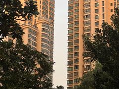 -Apollo·西班牙小酒馆(安福路店)