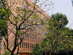 -黄冈中学(广州学校)