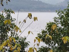 -古宇湖风景名胜区