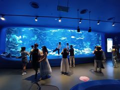 -欢乐海岸海洋奇梦馆