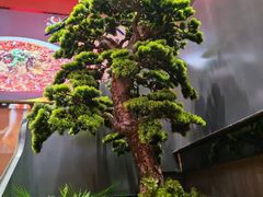 -大碗居·烤鸭·鱼头泡饼(天坛东门店)